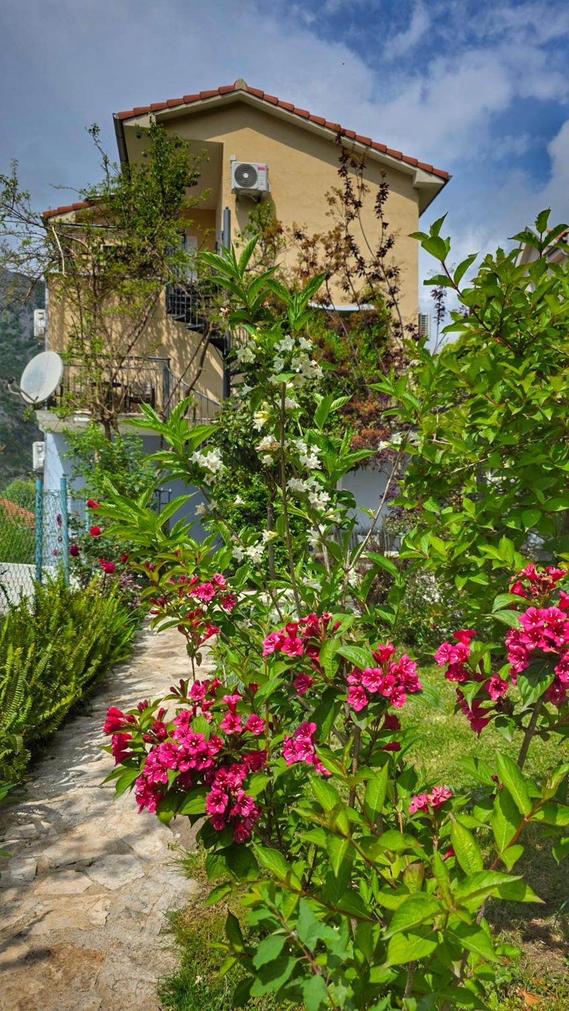 Apartment Mint&Rose Risan Ngoại thất bức ảnh